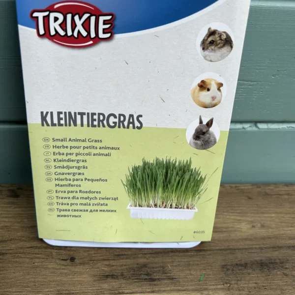 Trixie Grow Your Own Grass