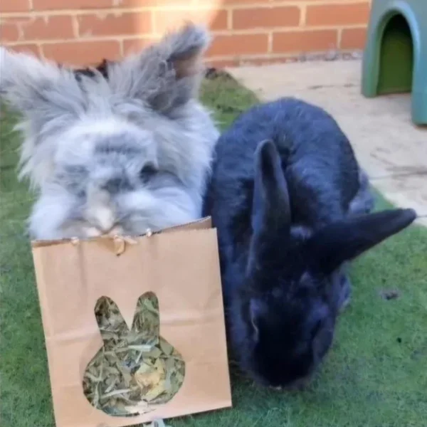 Bunny Bags