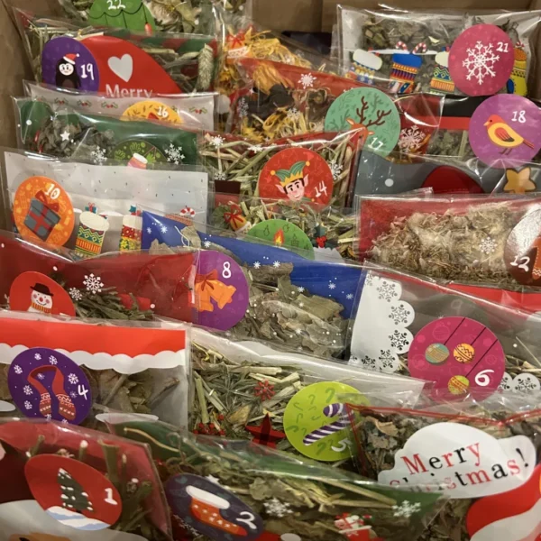 Advent Calendar For Small Pets